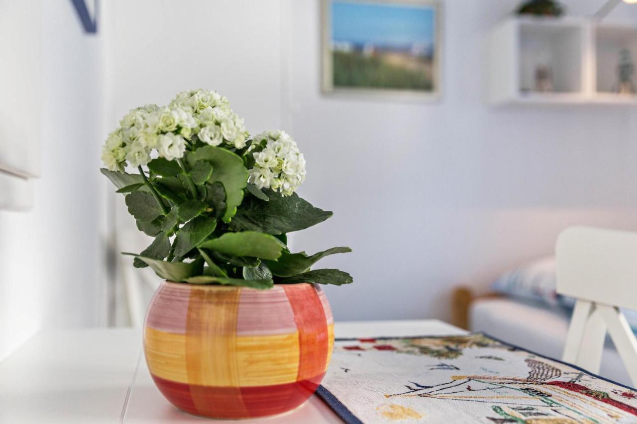 Nordhaus 6 Apartment *